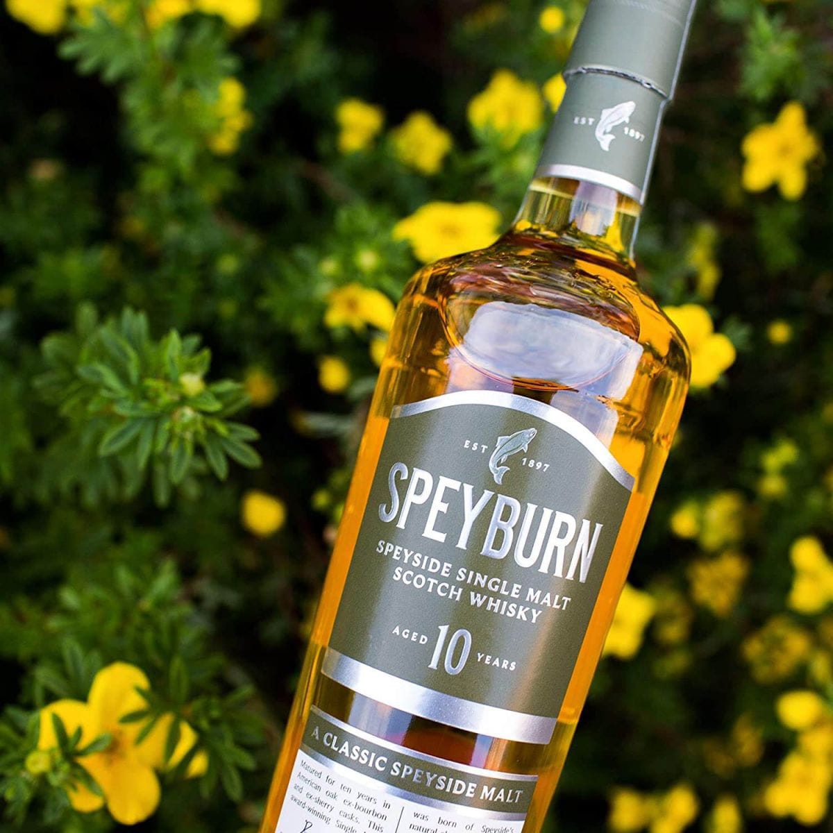 Speyburn 10 years thu hút vị giác bởi vị cam, kẹo bơ cứng, bơ và vani cùng với một kết thúc dài đầy ngọt ngào lưu luyến nơi đầu môi.