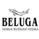 BELUGA icon
