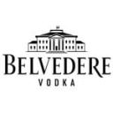BELVEDERE icon