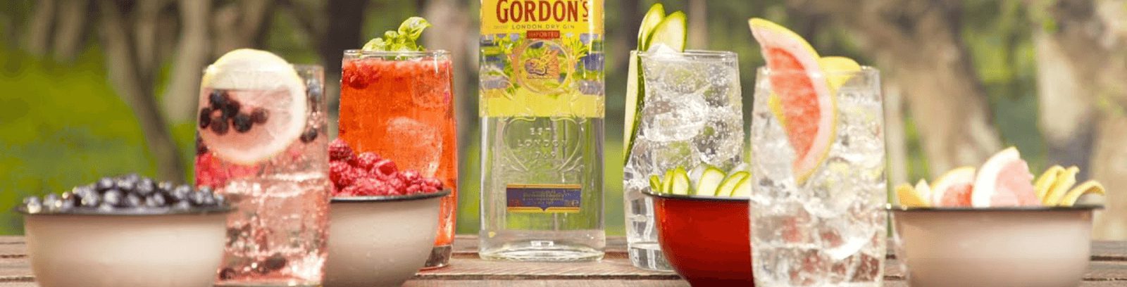 Gordon's Gin