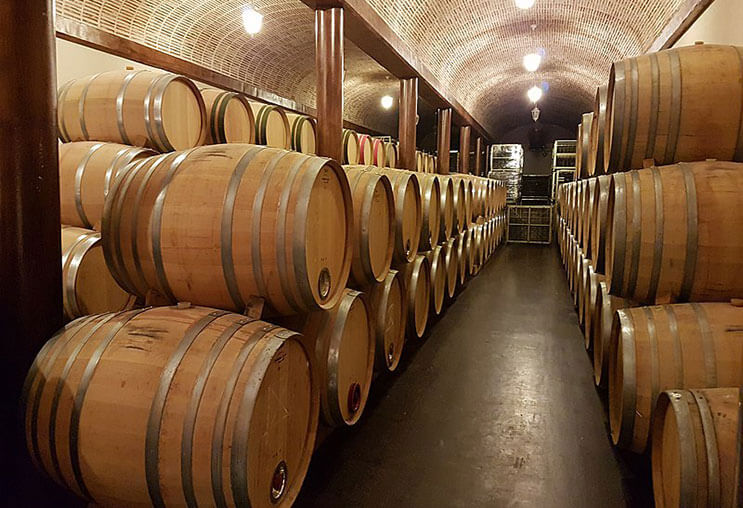 Hình 2. Những thùng gỗ sồi Mỹ và châu Âu góp phần quan trọng tạo nên hương rượu chất lượng
